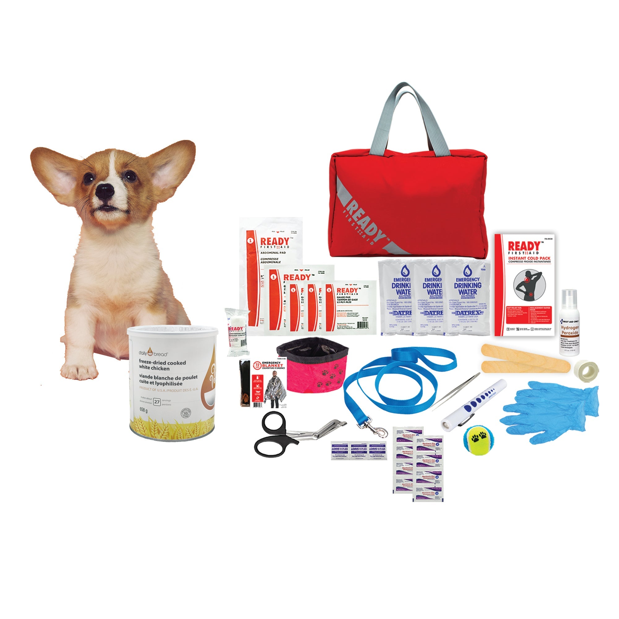 Pet Emergency Preparedness – 72hours.com