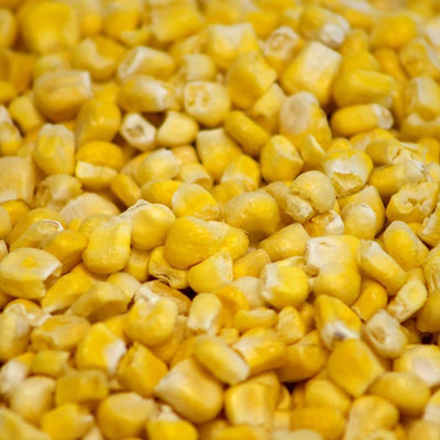 Freeze Dried Dehydrated corn
