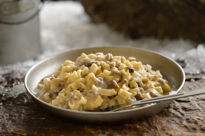 beef stroganoff served in metal plate