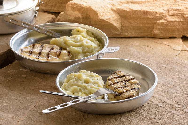 chicken and mashed potatoes served on metal plate